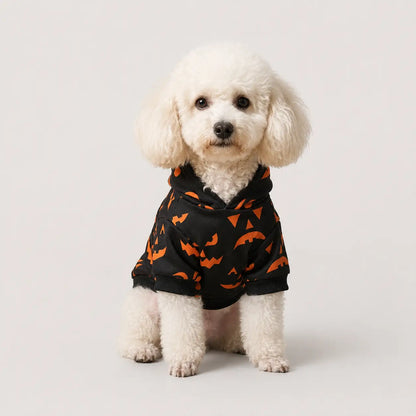 Herbst & Halloween Partnerlook | Pullover für Mensch & Hund