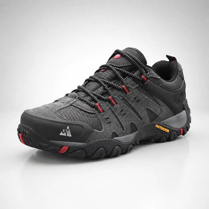 Wanderschuhe Grau