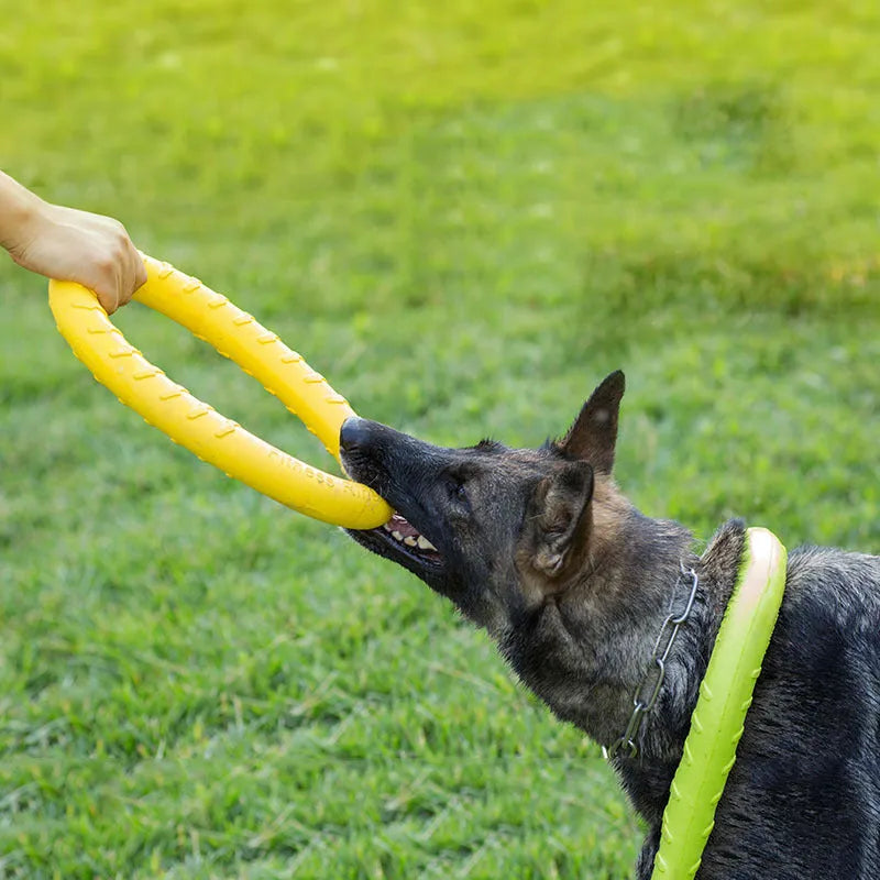 KauRingX – Der wasserfeste Kauring für aktive Hunde