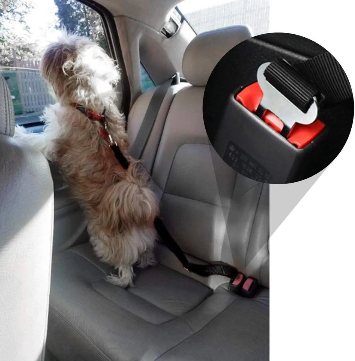 RideSafe – Der sichere Hunde-Autogurt für unterwegs