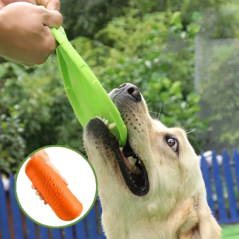 FlyChampion – Die robuste Hunde-Frisbee für Action, Spiel & Training