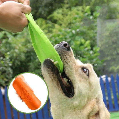 FlyChampion – Die robuste Hunde-Frisbee für Action, Spiel & Training