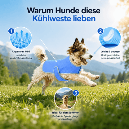 Hunde Kühlweste Vorteile