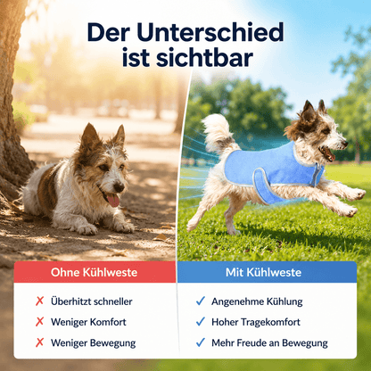 Hunde Kühlweste Problem & Lösung