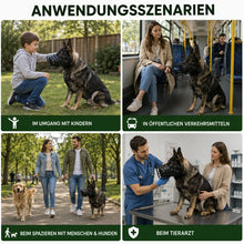 Hunde_Maulkorb Anwendungsszenarien 