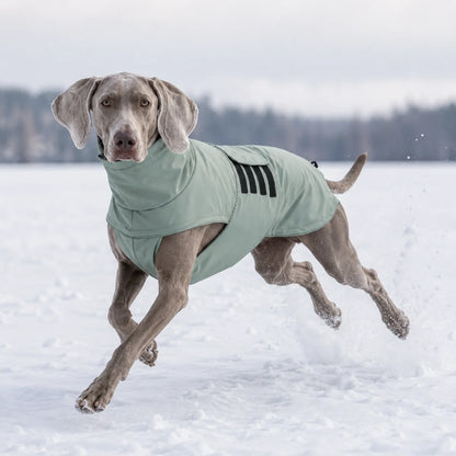 Wasserdichter Hundemantel | Regenmantel mit Bauchschutz