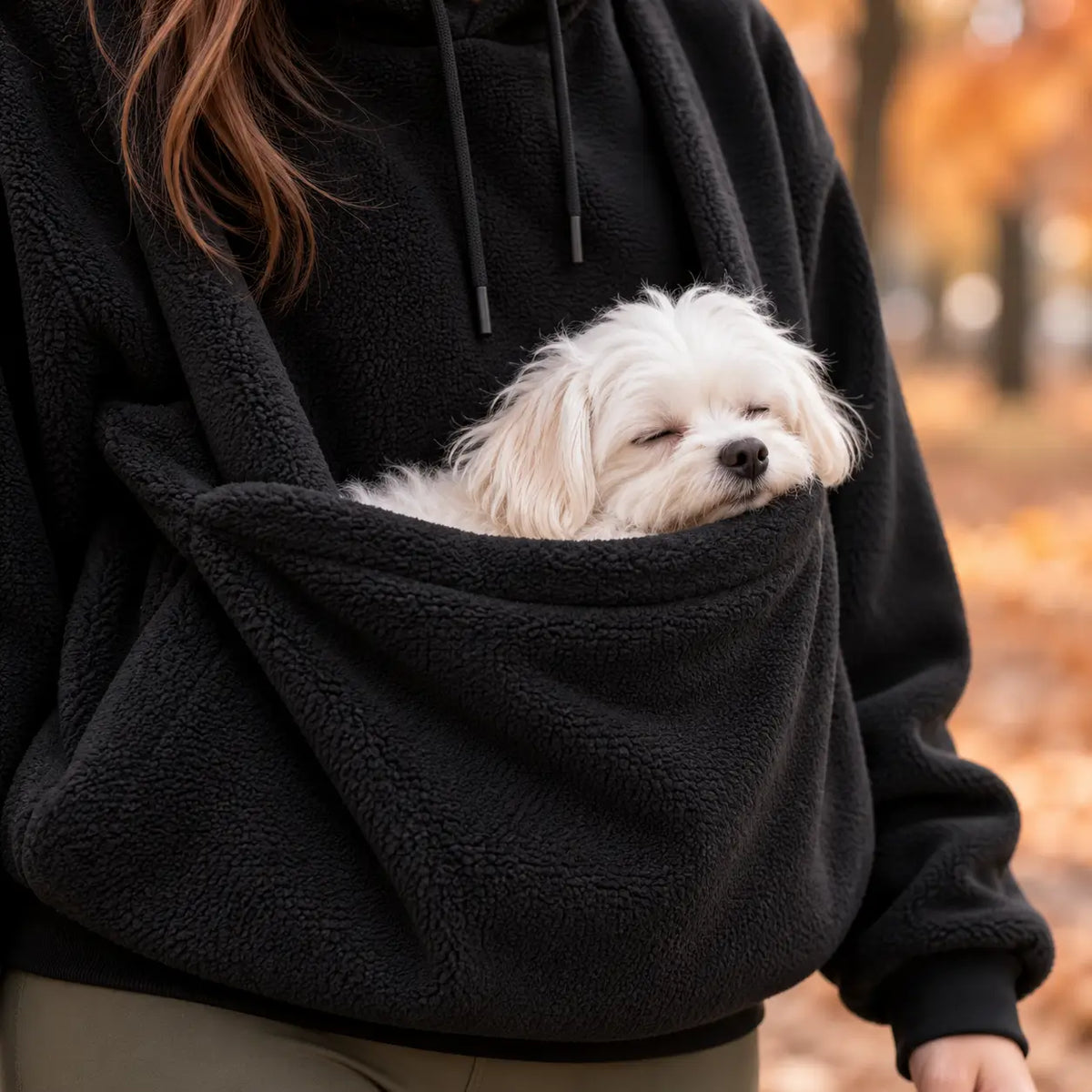 Hunde Tragepullover Lifestyle-Bild