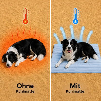 kuhlmatte Problem & Lösung