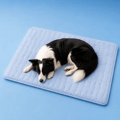 kuhlmatte Hunde