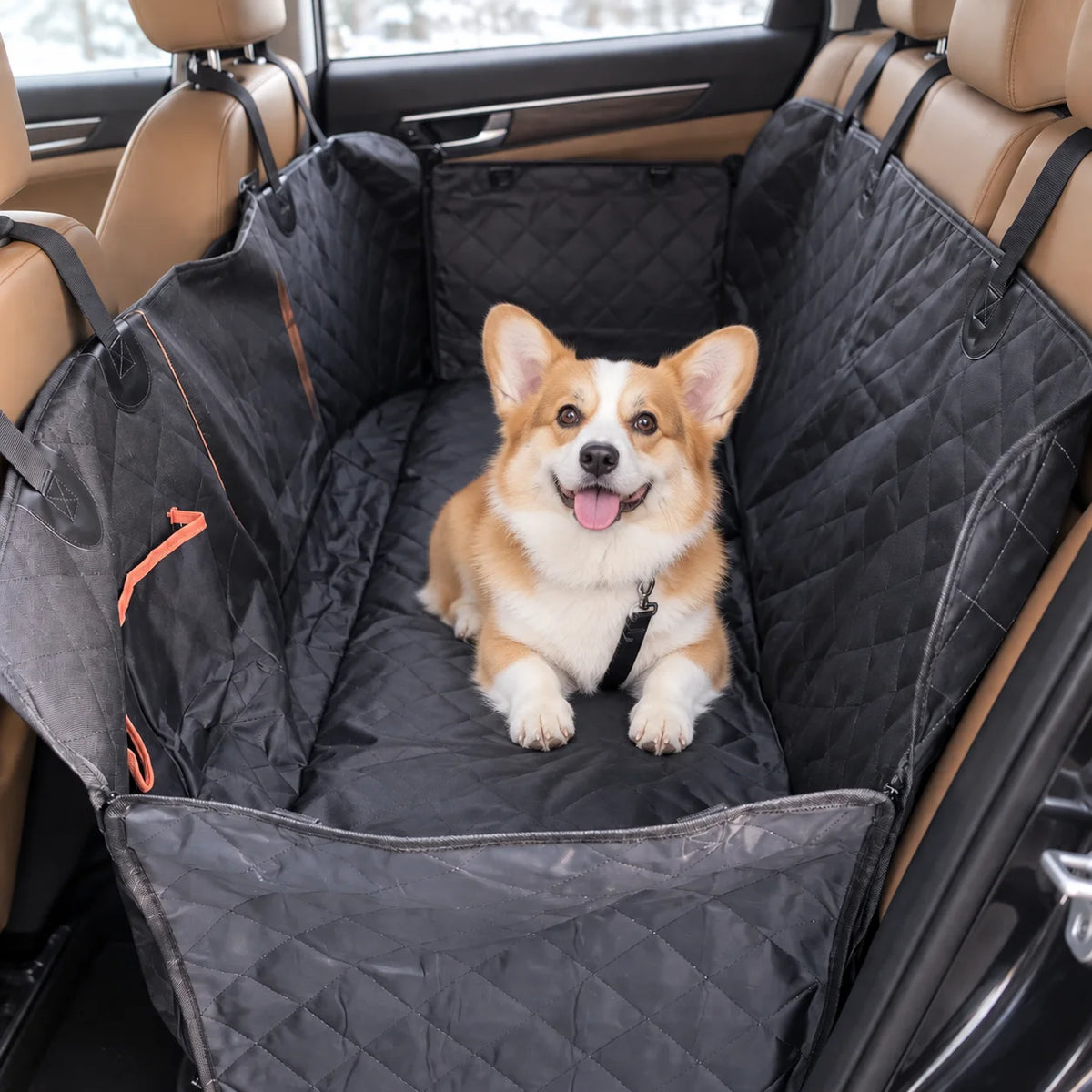 Hundeautositz Lifestyle-Bild