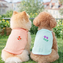 Hundebekleidung_Hundeshirt Hauptbild 