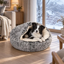 Hundebett Hauptbild