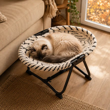 Hundebett & Katzenbett Hauptbild 