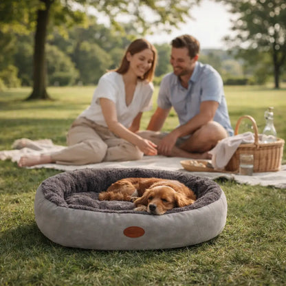 Hundebett Anwendungsszenarien 