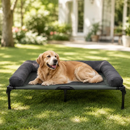 Hundebett erhöht Hauptbild