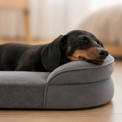 Hundebett für mittelgroße Hunde Lifestyle-Bild