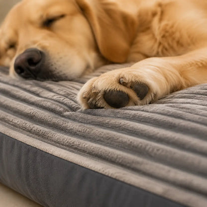 Hundebett Lifestyle-Bild