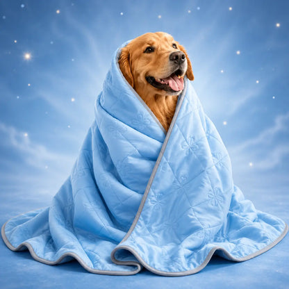 Kuhlende_Hundedecke Hauptbild 