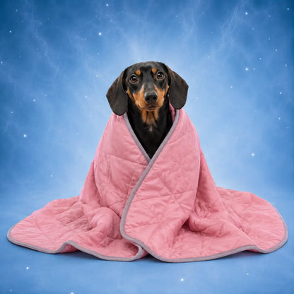 Hundedecke_ Altrosa