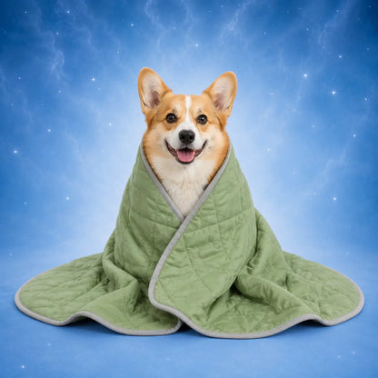 Hundedecke_ Mintgrün