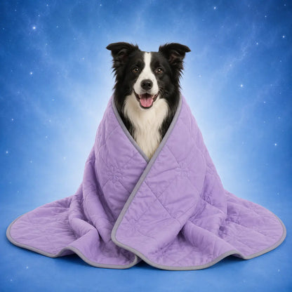 Hundedecke Lavendel