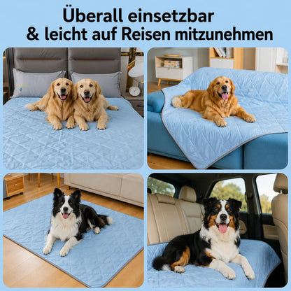 Kuhlende_Hundedecke Anwendungsszenarien 