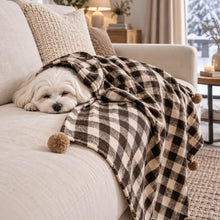 Hundedecke Lifestyle-Bild