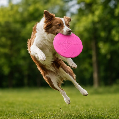 Hundefrisbee Hauptbild 