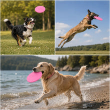 Hundefrisbee  Anwendungsszenarien 