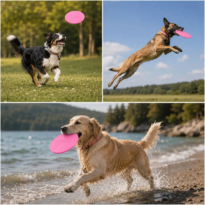 Hundefrisbee  Anwendungsszenarien 