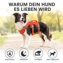 Hundegeschirr Vorteile