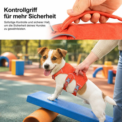 Hundegeschirr Produktmerkmale