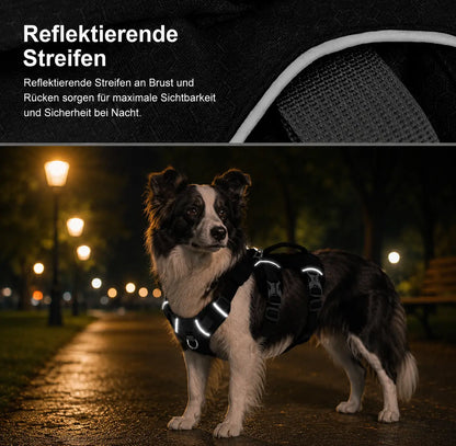 Hundegeschirr Produktmerkmale