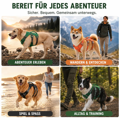Hundegeschirr Anwendungsszenarien
