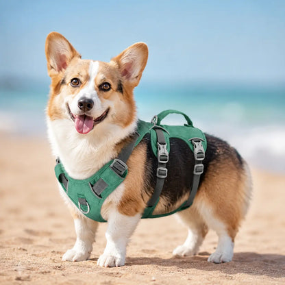 Hundegeschirr