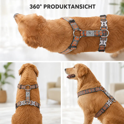 Hundegeschirr Perspektive 