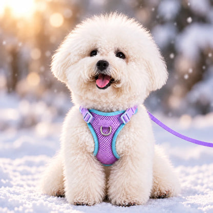 Hundegeschirr  Lifestyle-Bild