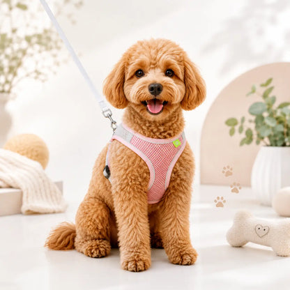 Hundegeschirr Hauptbild