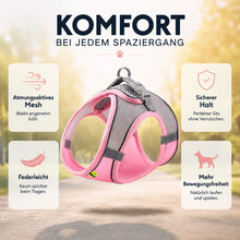 Hundegeschirr Vorteile