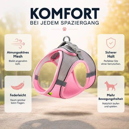 Hundegeschirr Vorteile