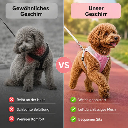 Hundegeschirr Vergleich