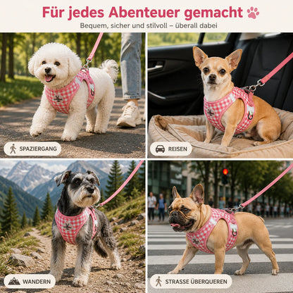 Hundegeschirr   Anwendungsszenarien 