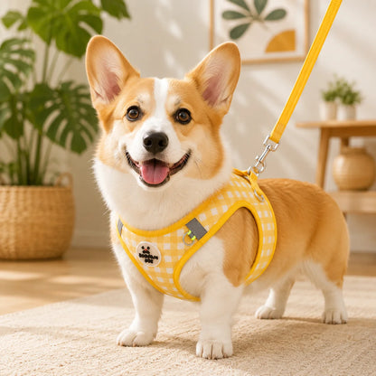 Hundegeschirr variantbild  gelb