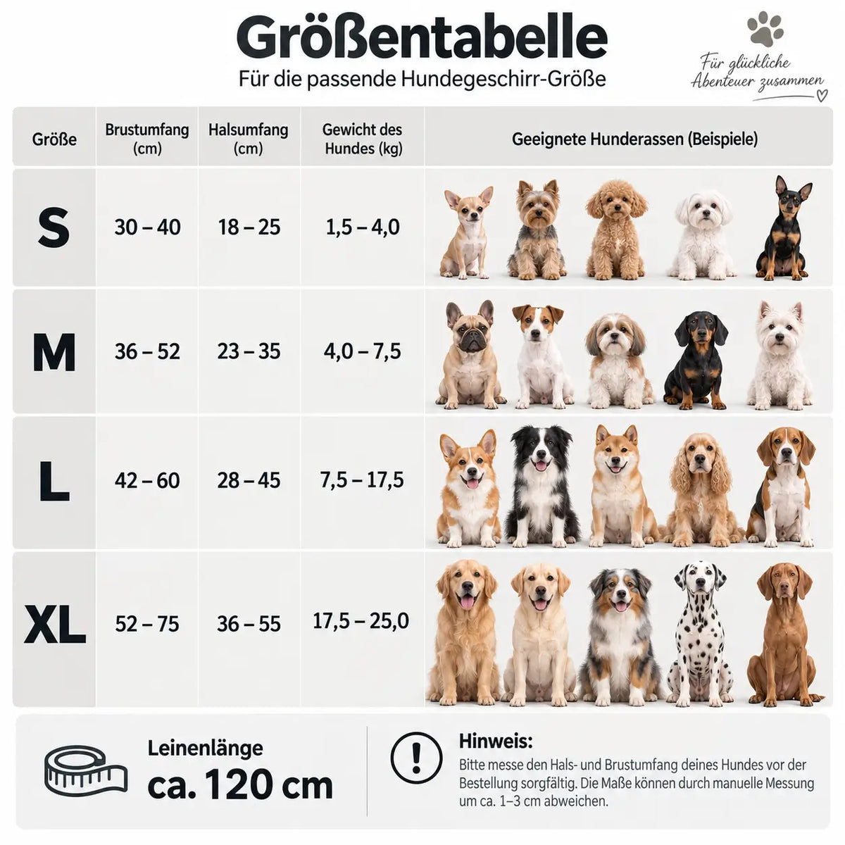 Hundegeschirr