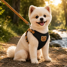Hundegeschirr_mit Hauptbild