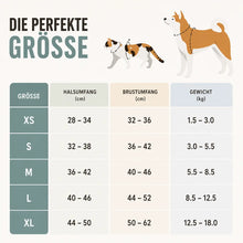Hundegeschirr_mit Größentabelle