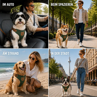 Hundegeschirr_mit Anwendungsszenarien 