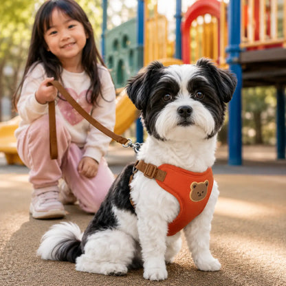 Hundegeschirr_mit  Variantenbild Rot