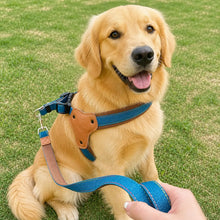 Hundegeschirr Hauptbild 