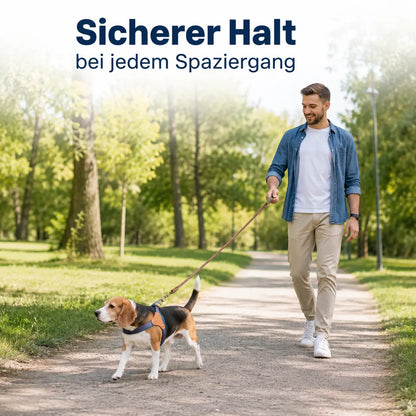 Hundegeschirr Lifestyle-Bild